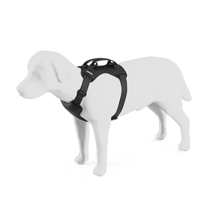 Picture of Thule Cappy Dog Car Harness - Medium
