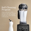 Picture of Vitamix VX1 Blender
