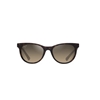 Picture of Maui Jim Lonomea Sunglasses - Shiny Dark Havana/HCL Bronze