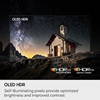 Picture of Samsung 48'' S85H OLED TV