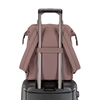 Picture of Samsonite Companion Convertible Backpack - Chocolate Mauve