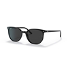 Picture of Ray-Ban Elliot Sunglasses - Black Polarized