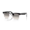 Picture of Ray-Ban Wayfarer Street Neat - Polished Black/Transparent