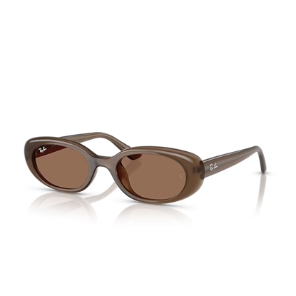 Picture of Ray-Ban Bio Based Sunglasses - Matte Opal Brown Frame