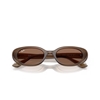 Picture of Ray-Ban Bio Based Sunglasses - Matte Opal Brown Frame