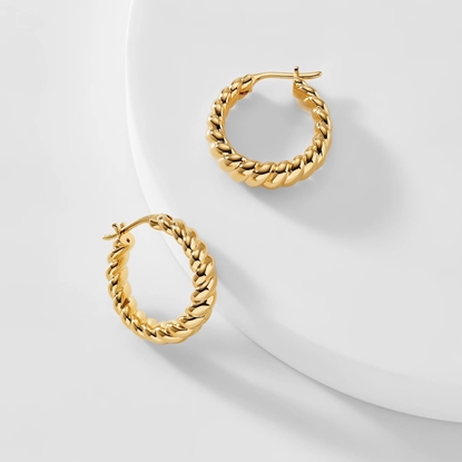 Picture of Nadri Golden Hour Twist Hoop Earrings - Gold