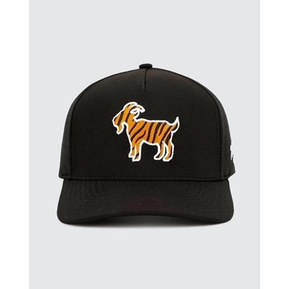 Picture of Waggle The GOAT Hat
