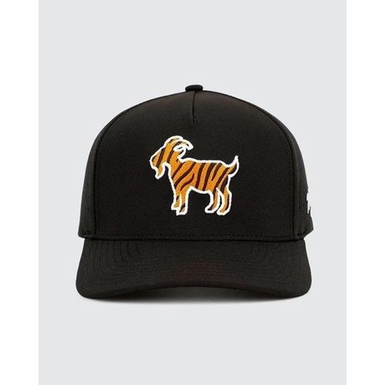 Picture of Waggle The GOAT Hat