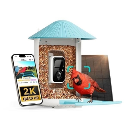 Picture of Birdfy AI-Powered Smart Bird Feeder with Camera