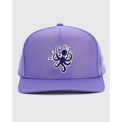 Picture of Waggle Crazy Eight Hat