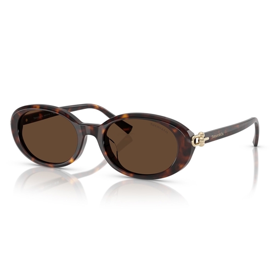 Picture of Tiffany Round Sunglasses - Havana On Tiffany Blue Frame