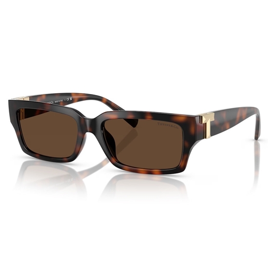 Picture of Tiffany Regtangle Frame Sunglasses - Tortoise/Gold T Temple