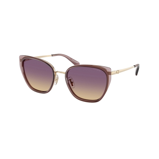 Picture of Coach Cat Eye Sunglasses - Violet Frame/Lens