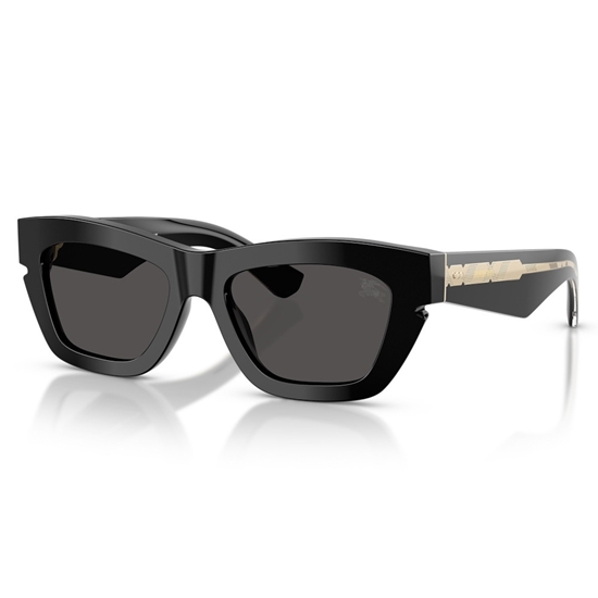 Picture of Burberry Black Frame Sunglasses with Gold Temple