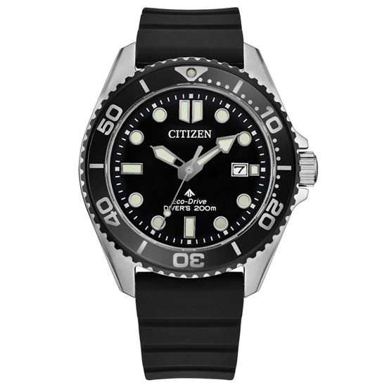 Picture of Citizen Men's Promaster Dive Watch