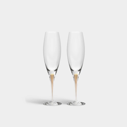 Picture of Orrefors Intermezzo Gold Champagne Glasses - 2-Pack