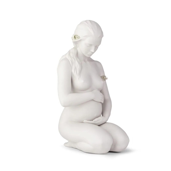 Picture of Lladro A New Life