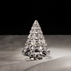 Picture of Baccarat Noel Fir Octogone - Clear