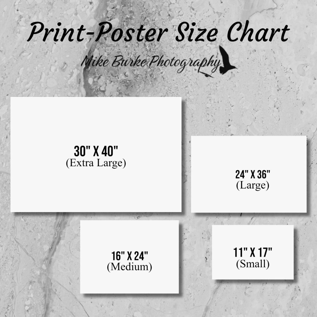 Tree Reflection Wall Art Print | Nature photography home decor gift - Image 5