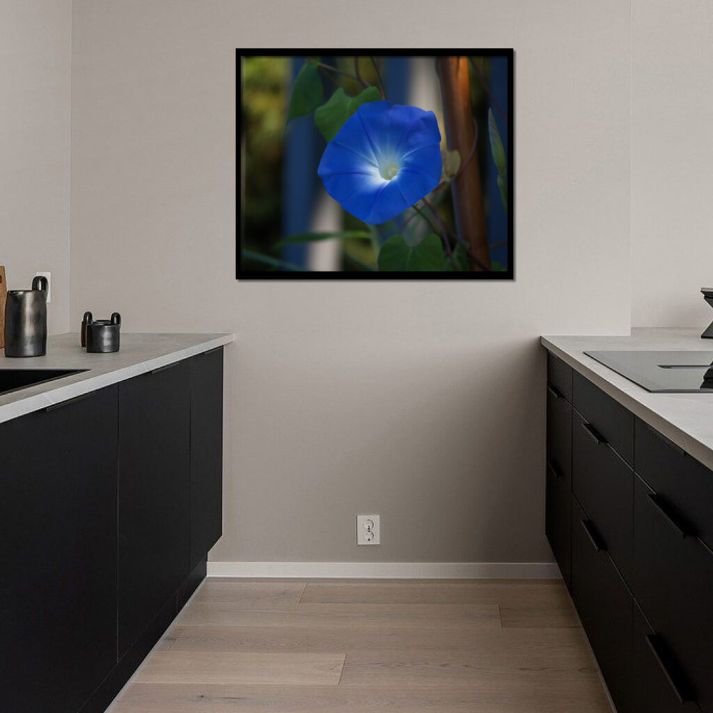 Blue Morning Glory Flower Wall Art Print | Botanical Home Decor Gift - Image 3