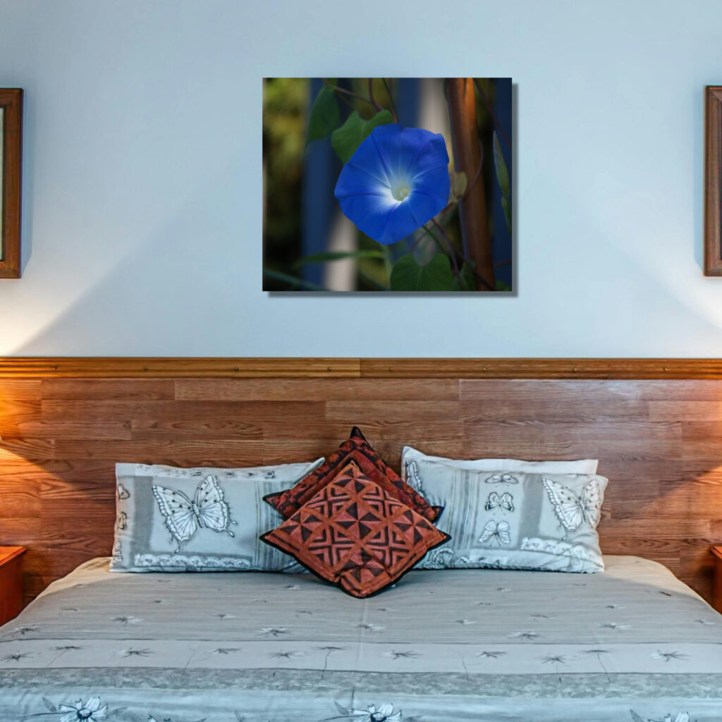 Blue Morning Glory Flower Wall Art Print | Botanical Home Decor Gift - Image 7