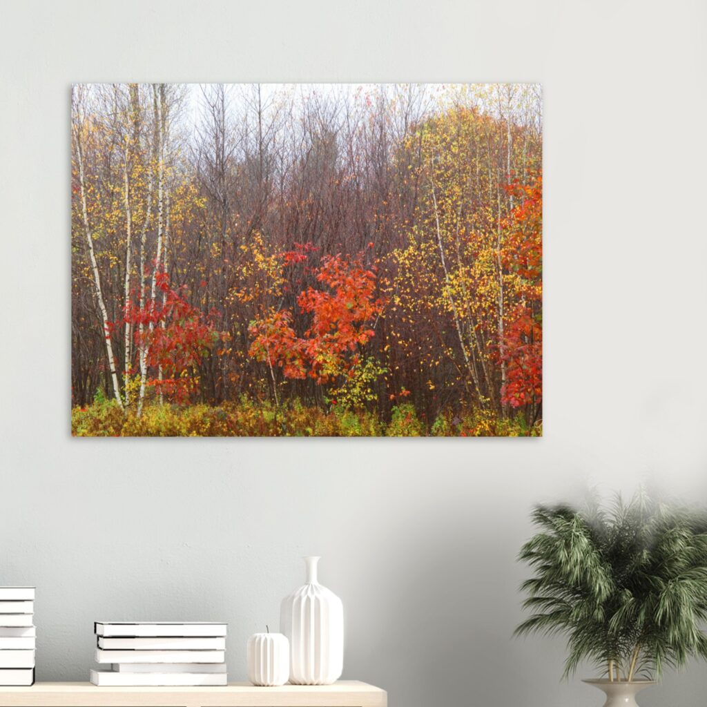 51d6a6b0-4514-4052-8c89-1aaec76047f9