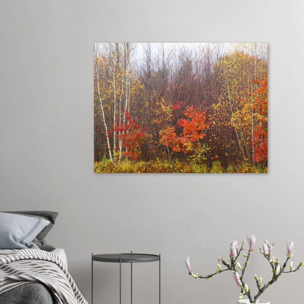 edce62e2-9732-41fa-bb52-0c330ec7da70