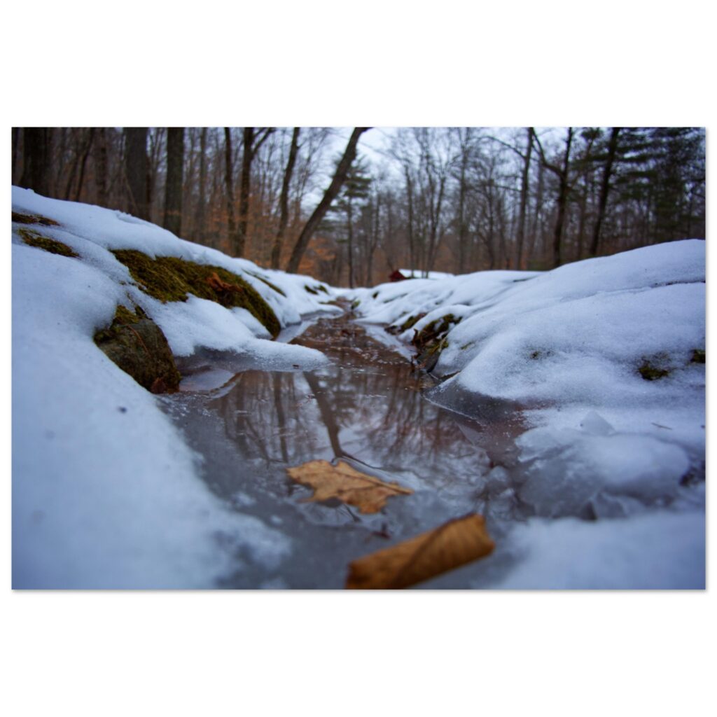 1376330d-3413-4e34-b4f0-1ff8650ec1aa