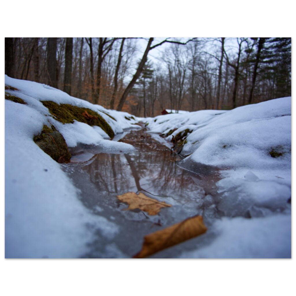 481937c8-72e5-4130-8757-10b549ee0359