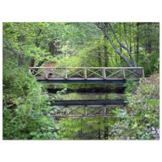A wooden bridge spans a tranquil forest stream, surrounded by lush green foliage. The calm water reflects the bridge and trees, creating a serene scene.