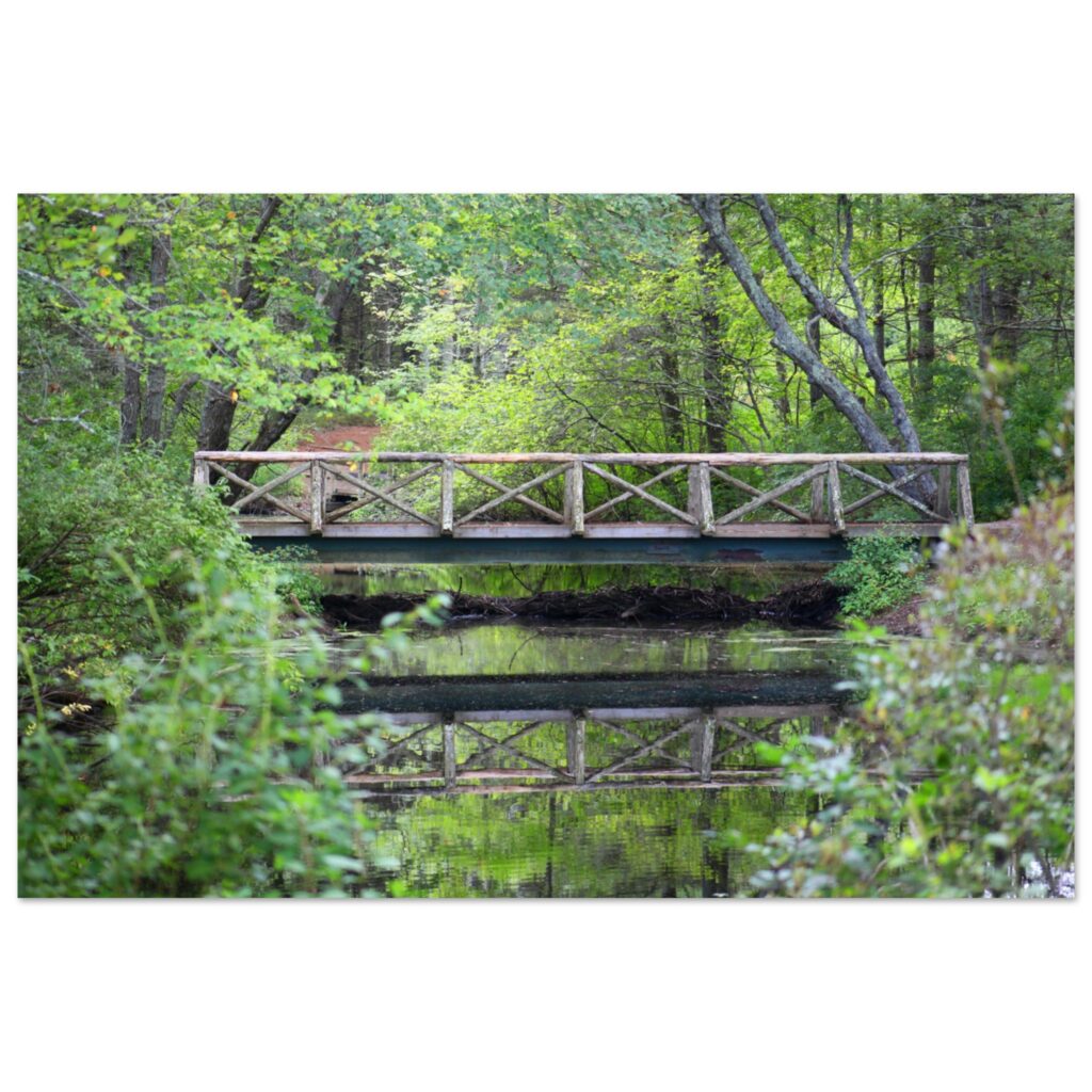 a334bd5b-4a65-4292-a30a-9440a64fa5b2