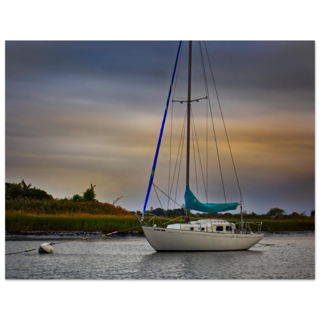 700b9177-1669-4225-aca8-7fbd773d79c3