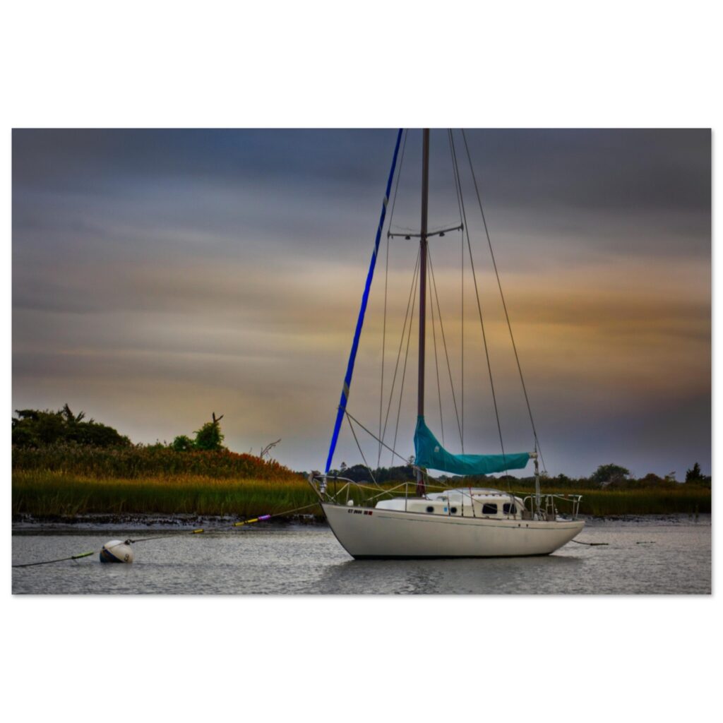 24587570-f979-4e8a-ad1e-3bb1536a3513