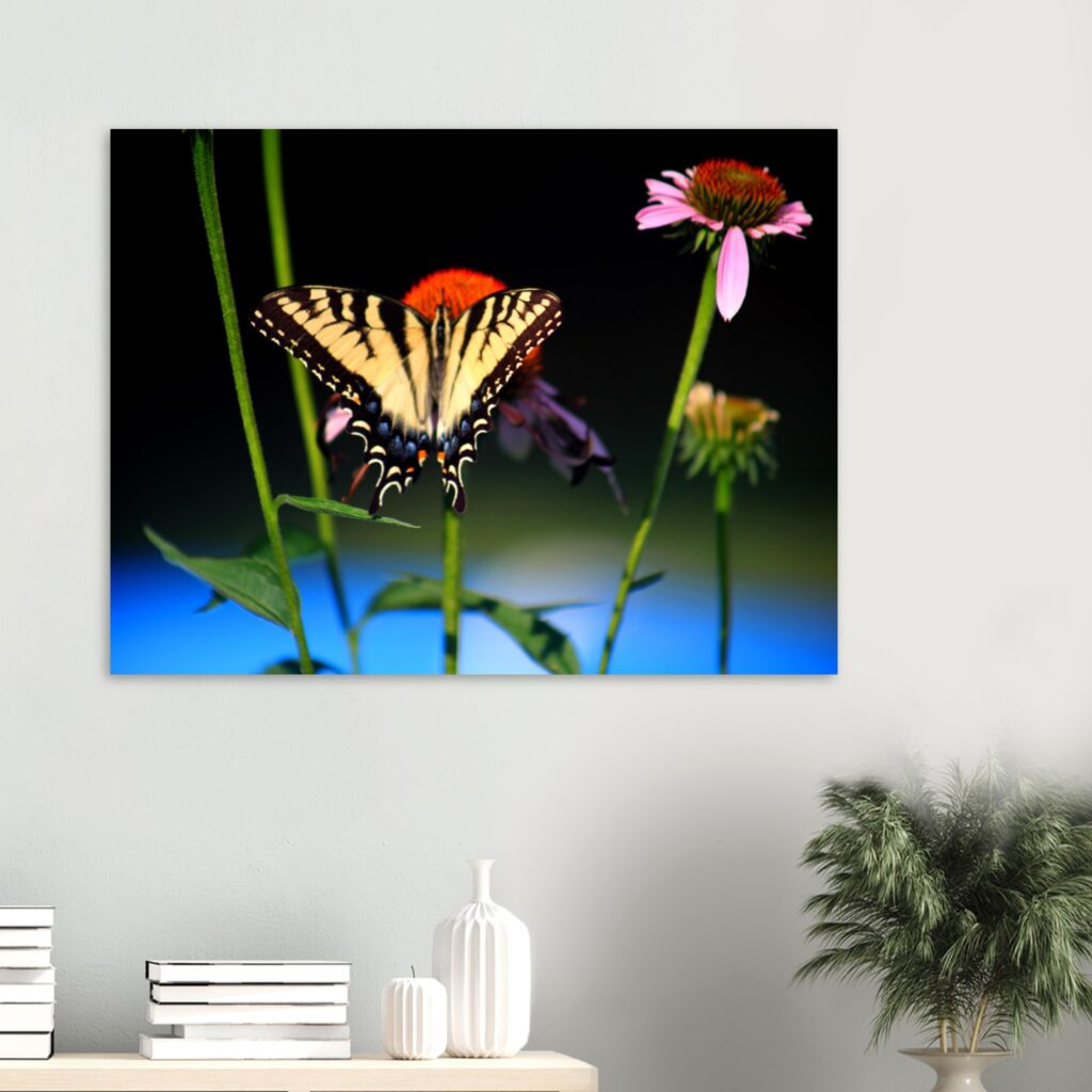 492a6dc3-3638-4b5d-b0e7-7ac9bce8cb0a