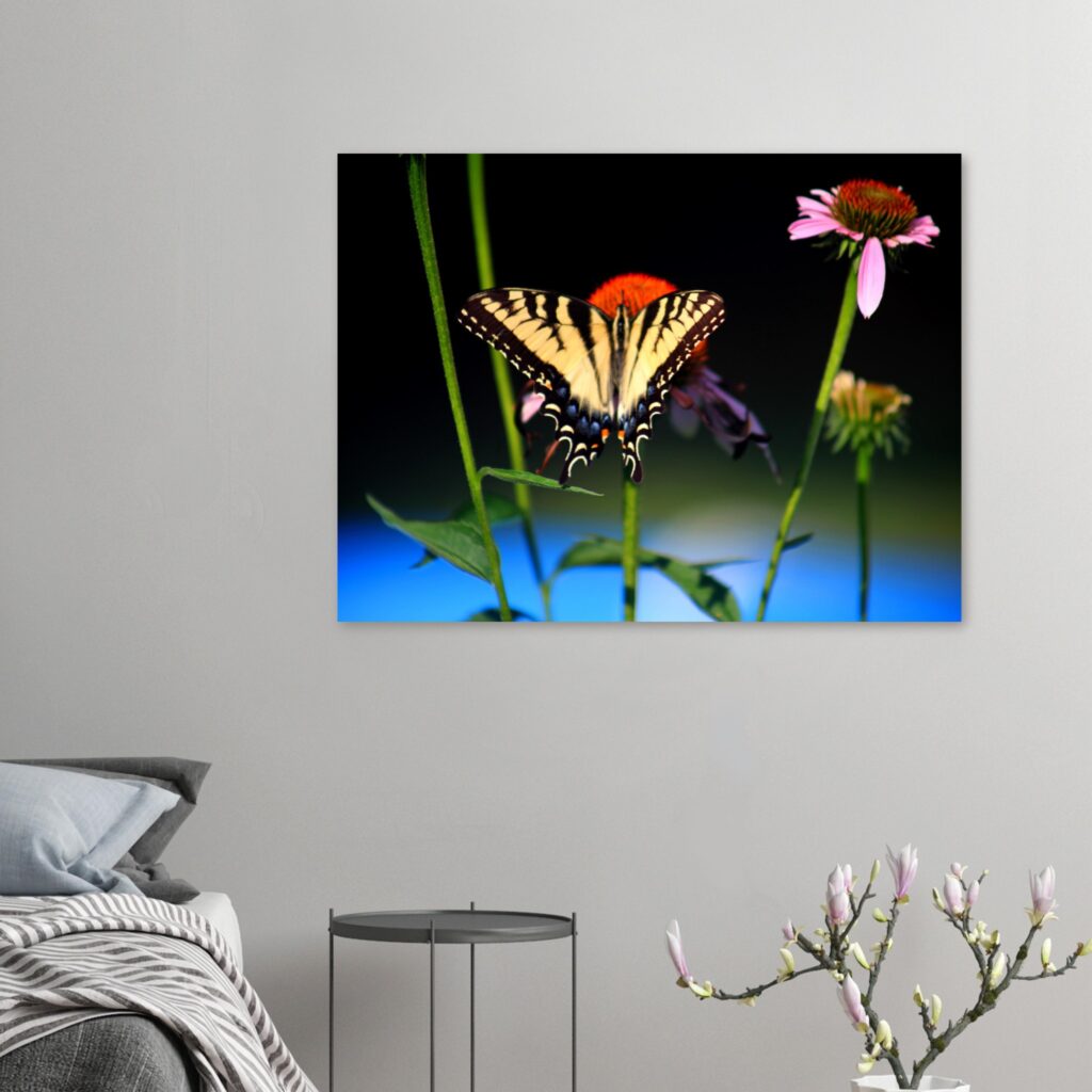 06aeb110-37f1-45d2-a5ee-44973d5e0149