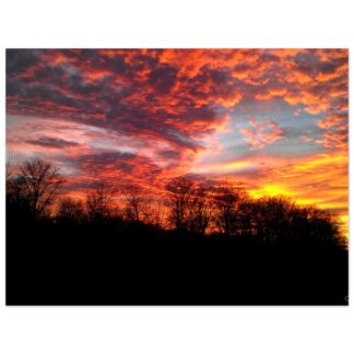 Framed image of a vibrant sunset, with fiery orange and pink clouds against a dark silhouette of bare trees, creating a dramatic and serene mood.