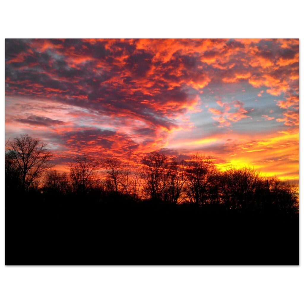 e7650cbb-2906-4c96-b0c6-86d04827670c