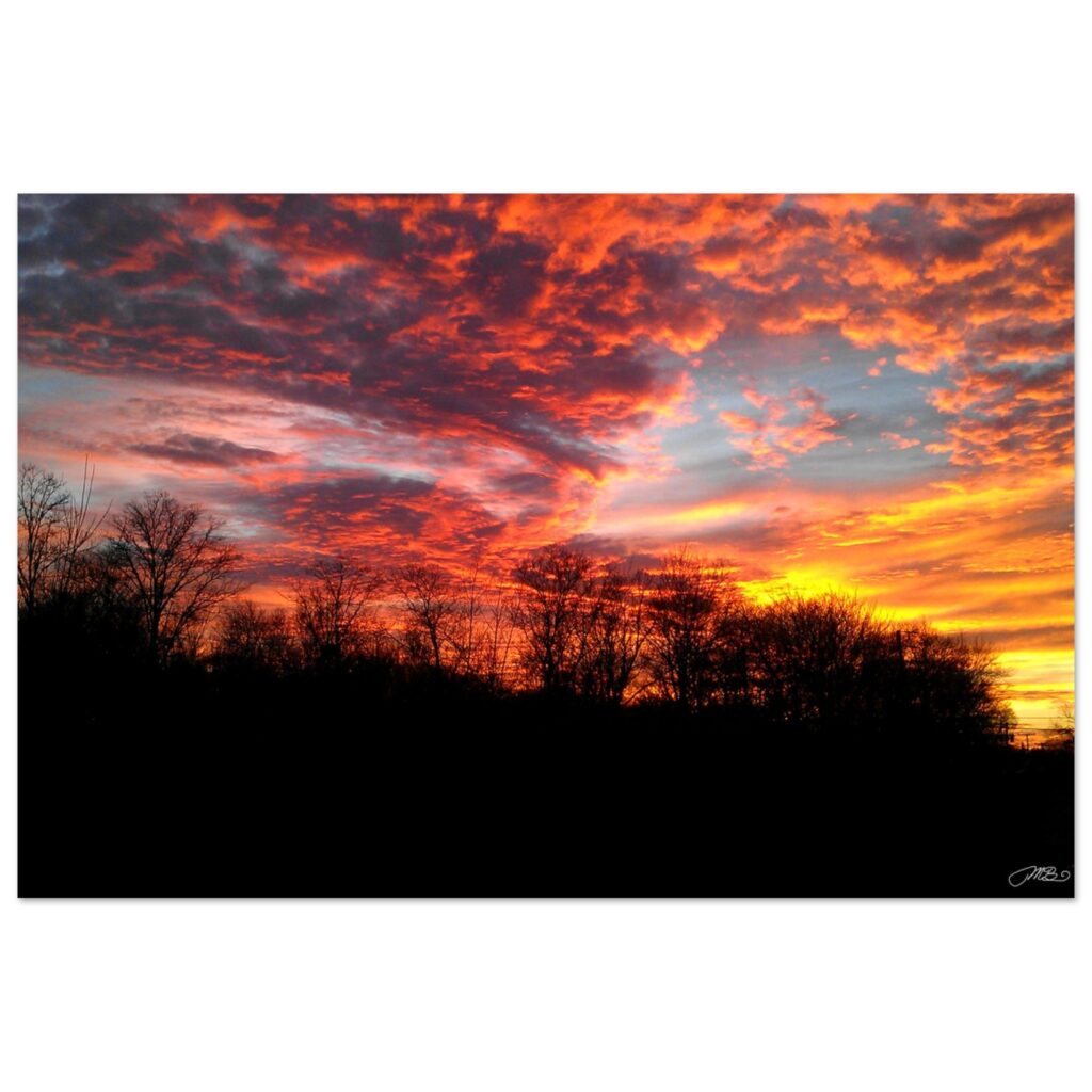 de14d18d-c4af-46d2-bf92-878b35bb4657