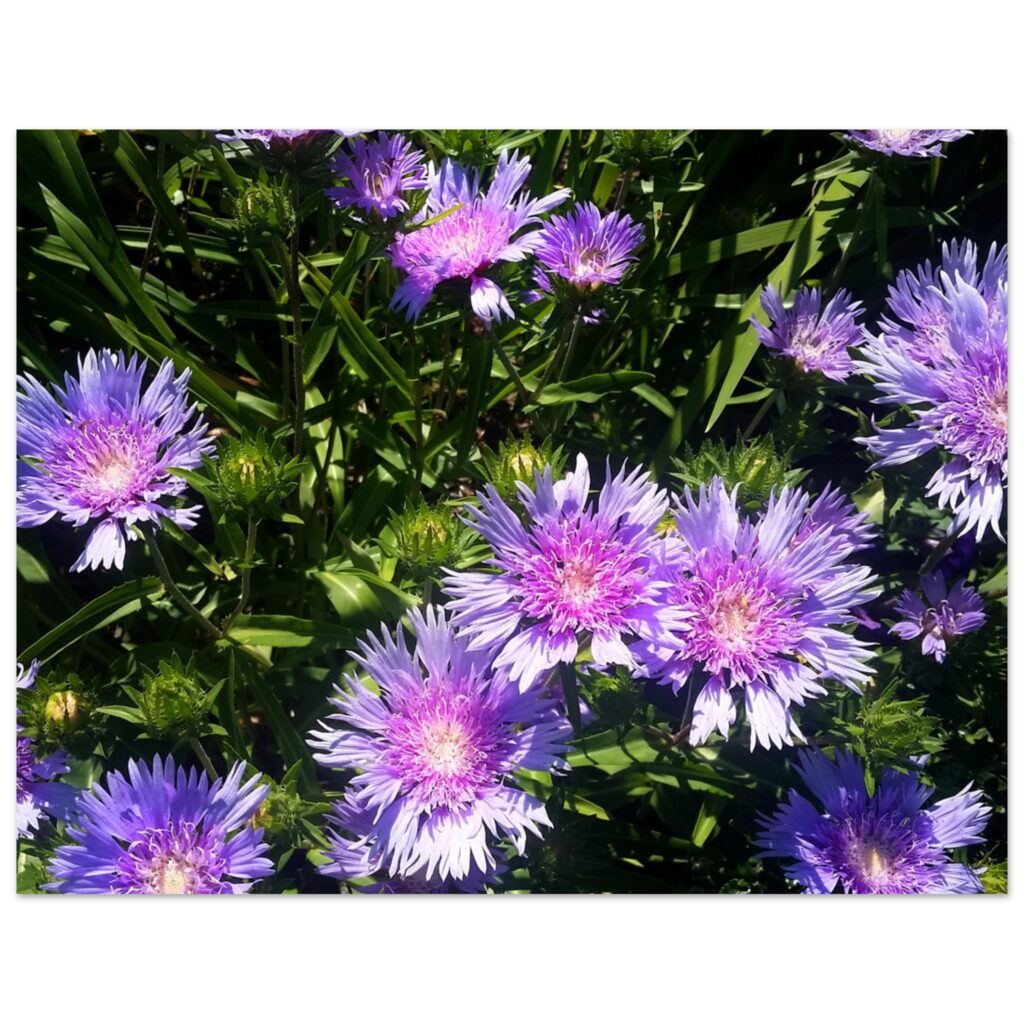 d1e334ce-eac0-4ea3-9c64-a0a3cff1e600