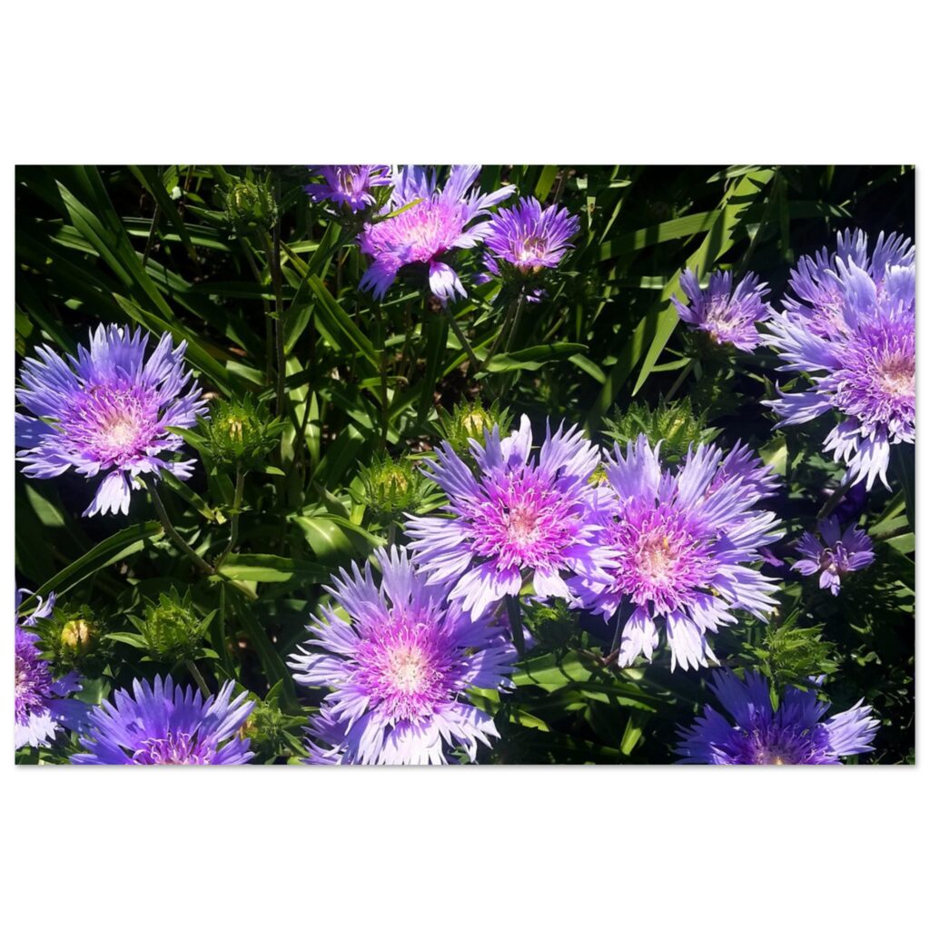 84afc125-2710-4656-977e-ef639ed1ff2c