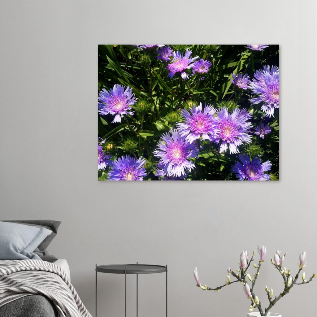 cb6c4e71-fcbb-4955-99e4-f053f18516b7