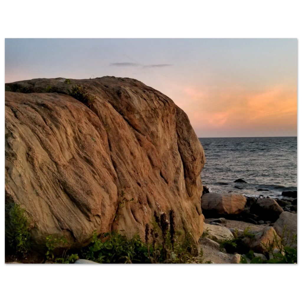 a0e9efdc-bbe6-4137-84ef-c67d5d4137e7