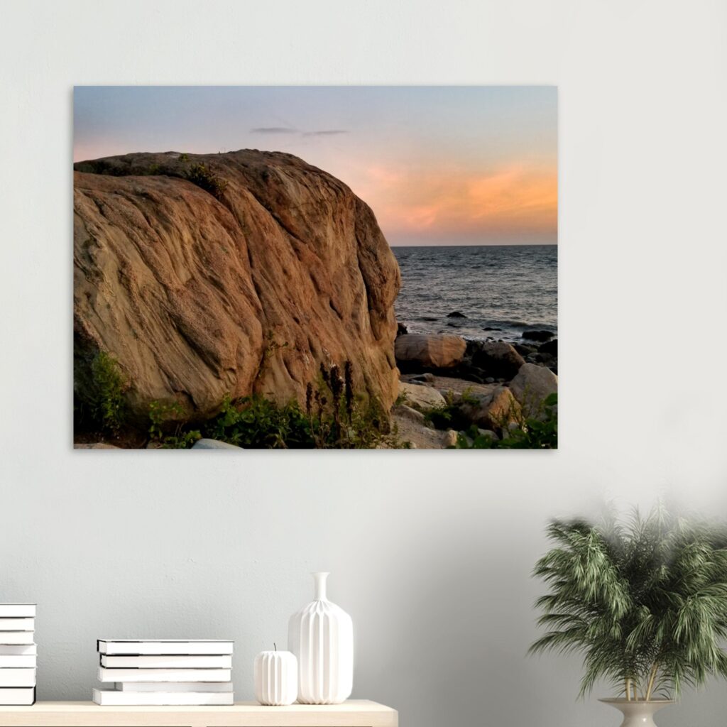 392f4c41-5c5d-4ead-830b-5e6d70b0f3df