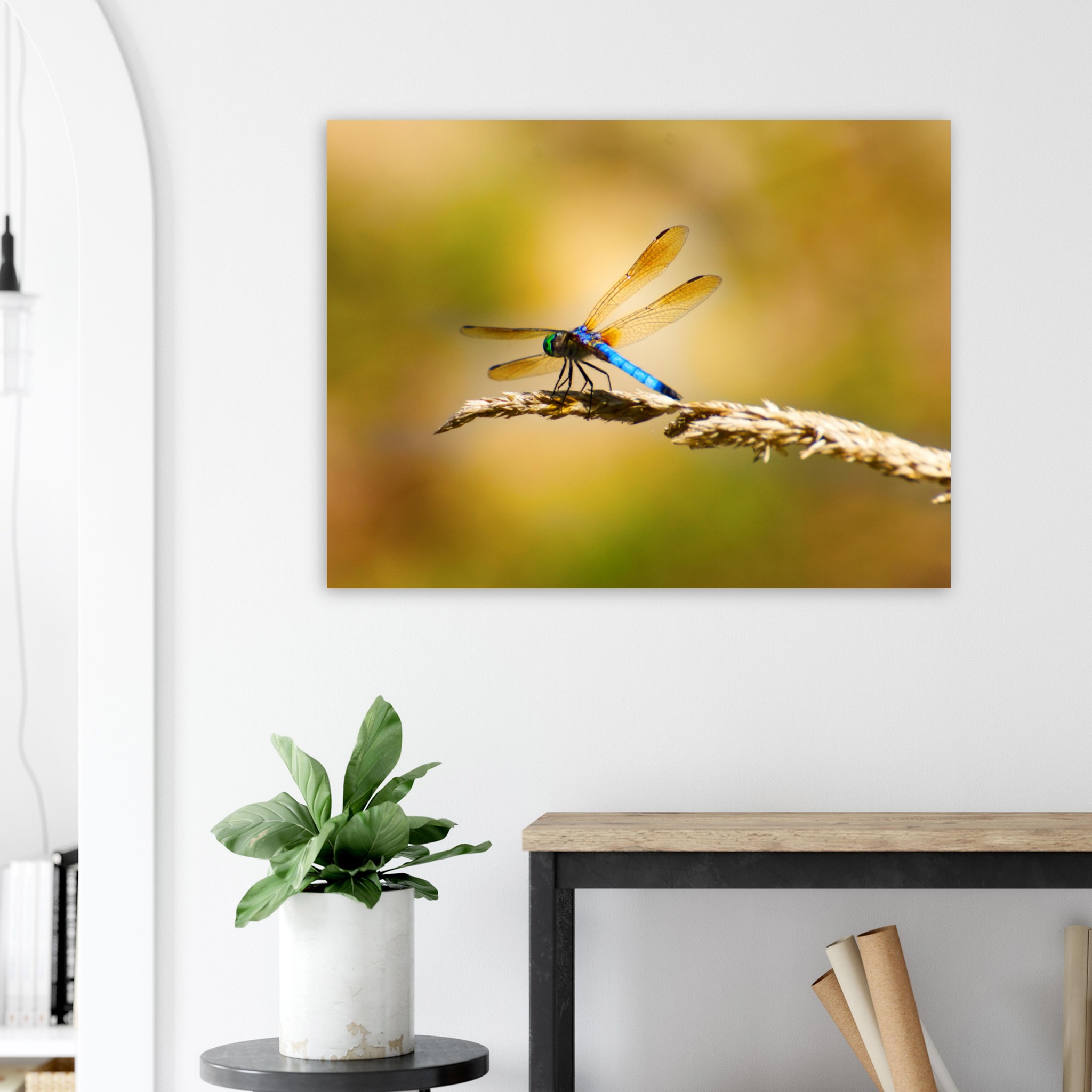 877d8ac3-fa3a-4cb9-99cd-4dd8567ea376