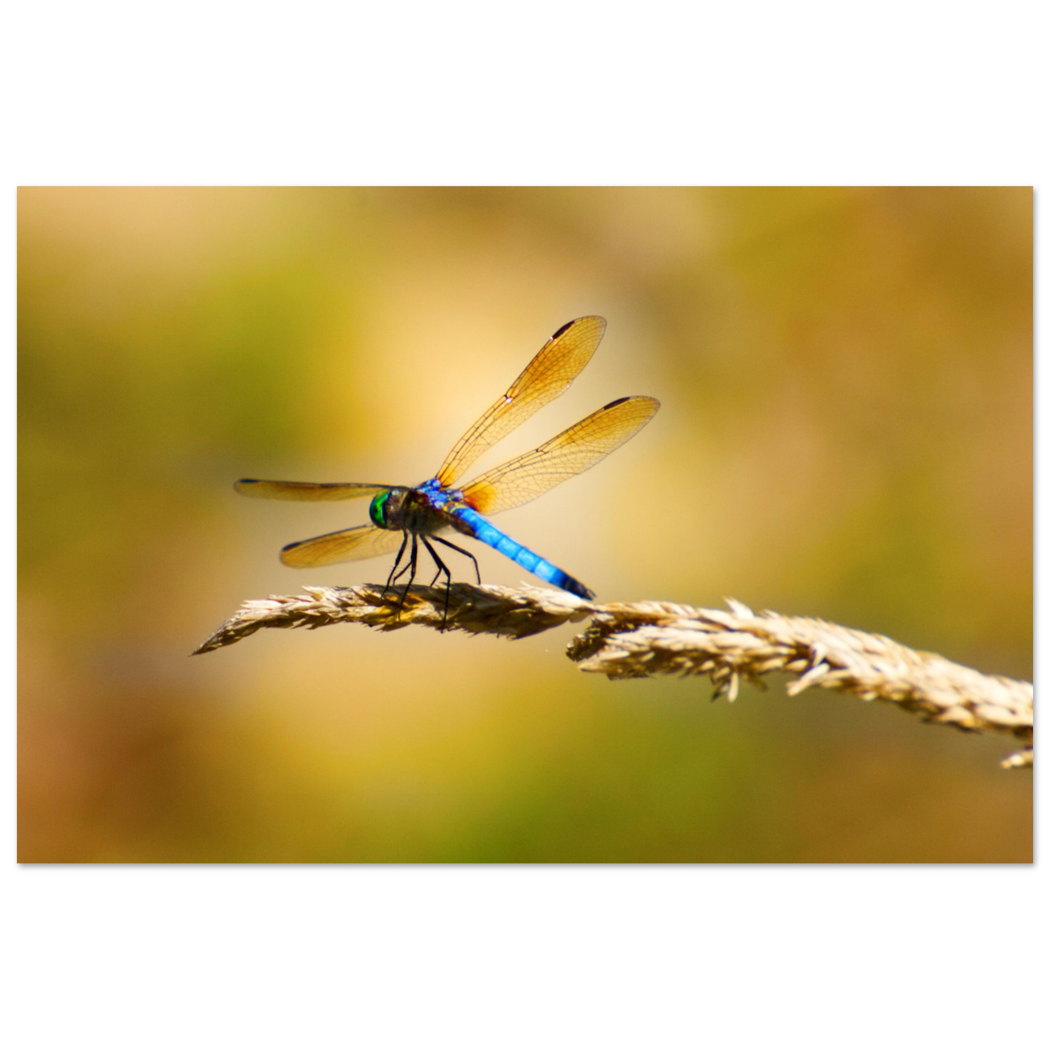 f8201661-bbd7-47a3-928a-f13c24fd5d46