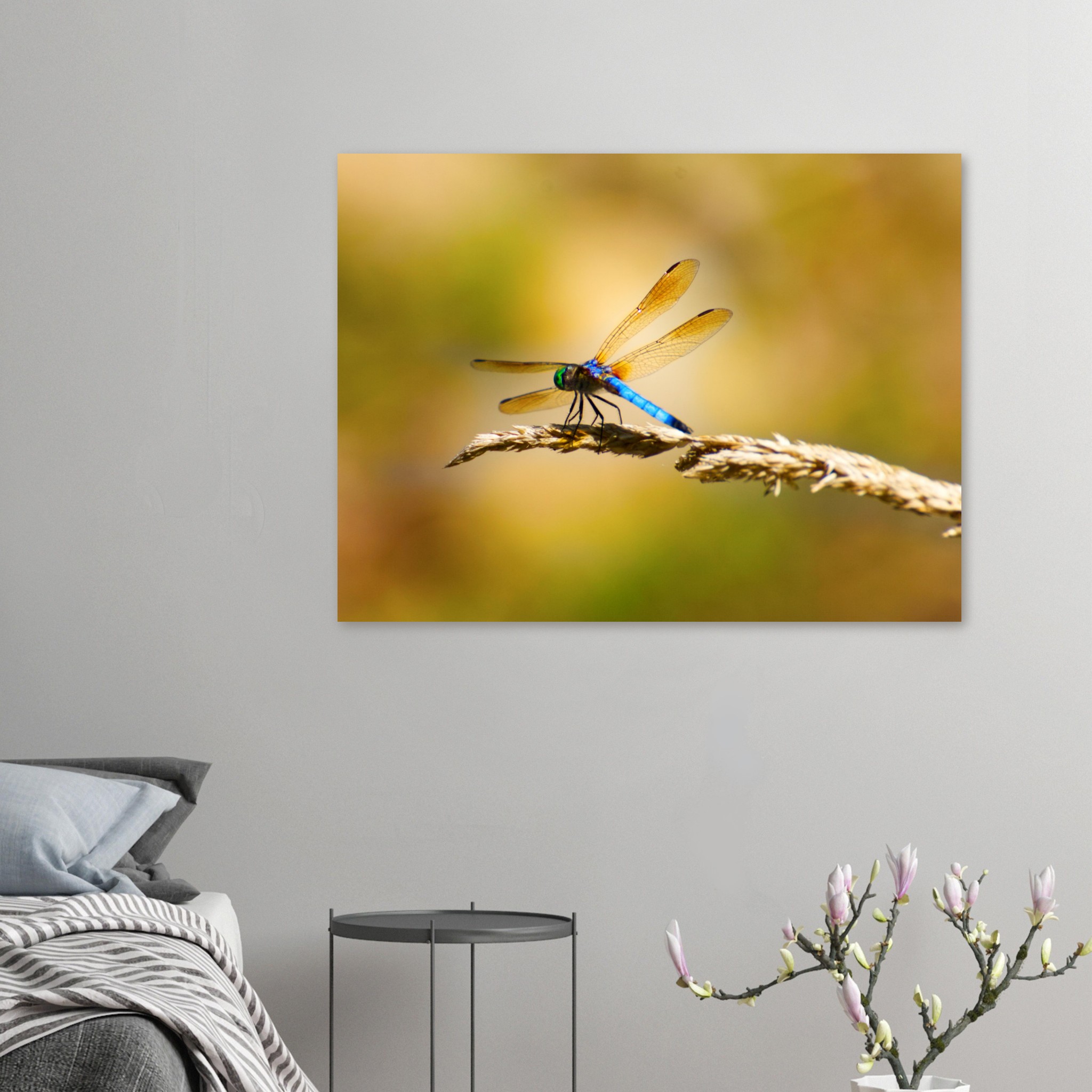 57b092b0-f6b6-4ef8-bd53-3388cf2b909c