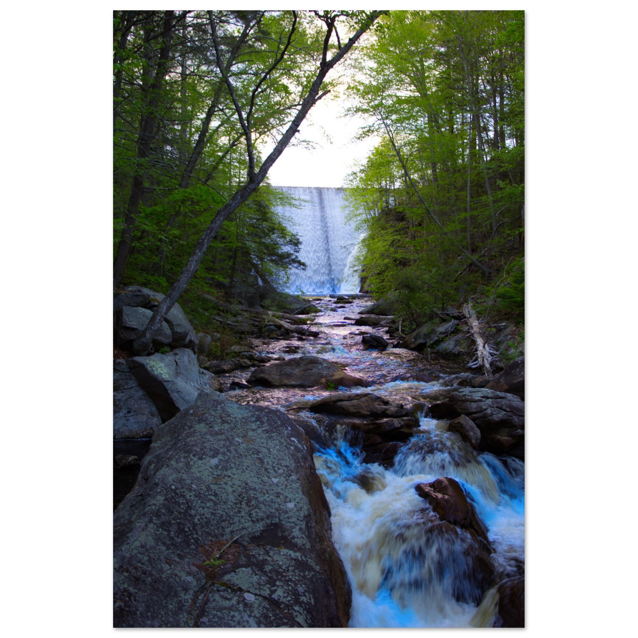 58bbaab7-a940-454b-ae99-7091c5363f68