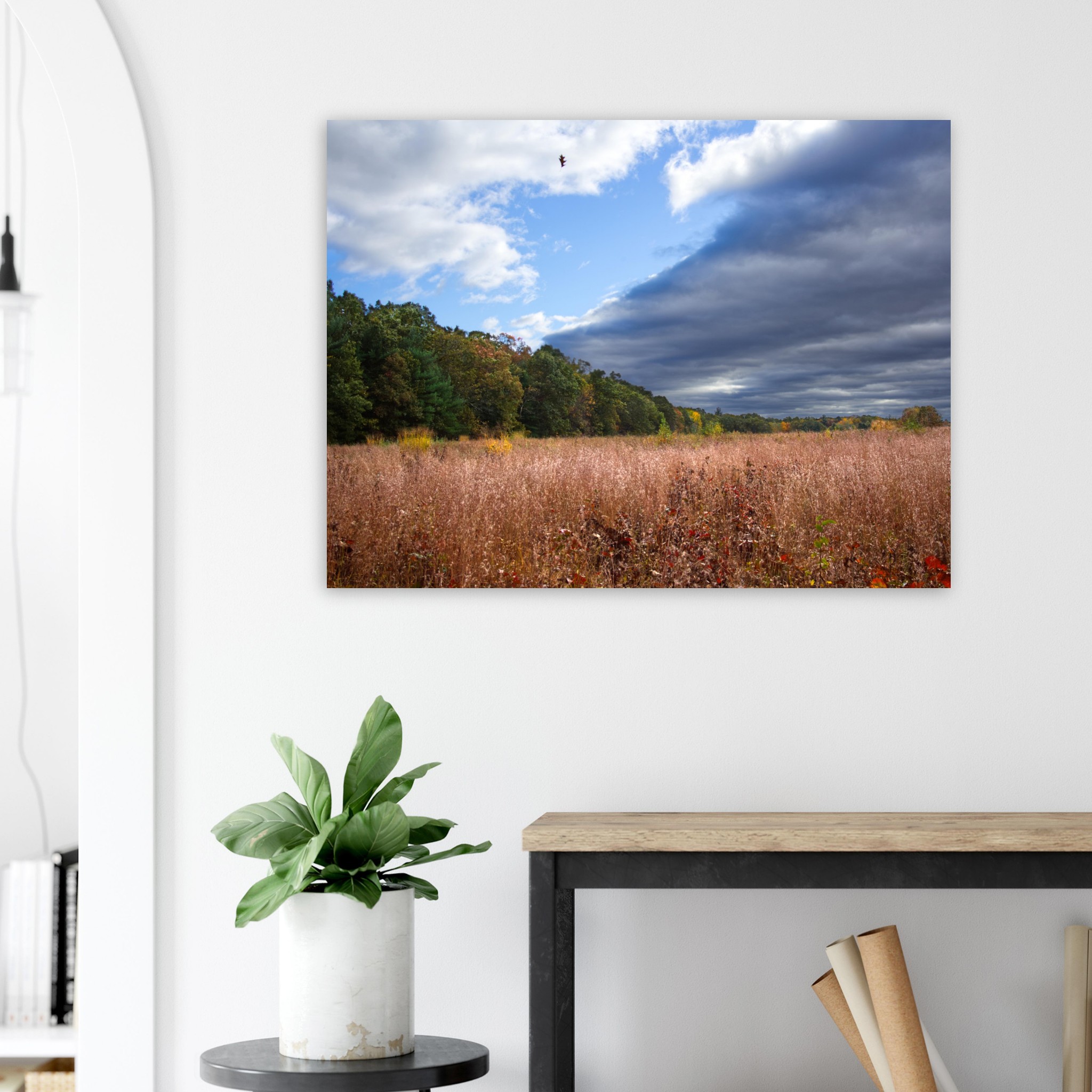 7034c38b-0e99-4bb9-b685-7e69ce054dde