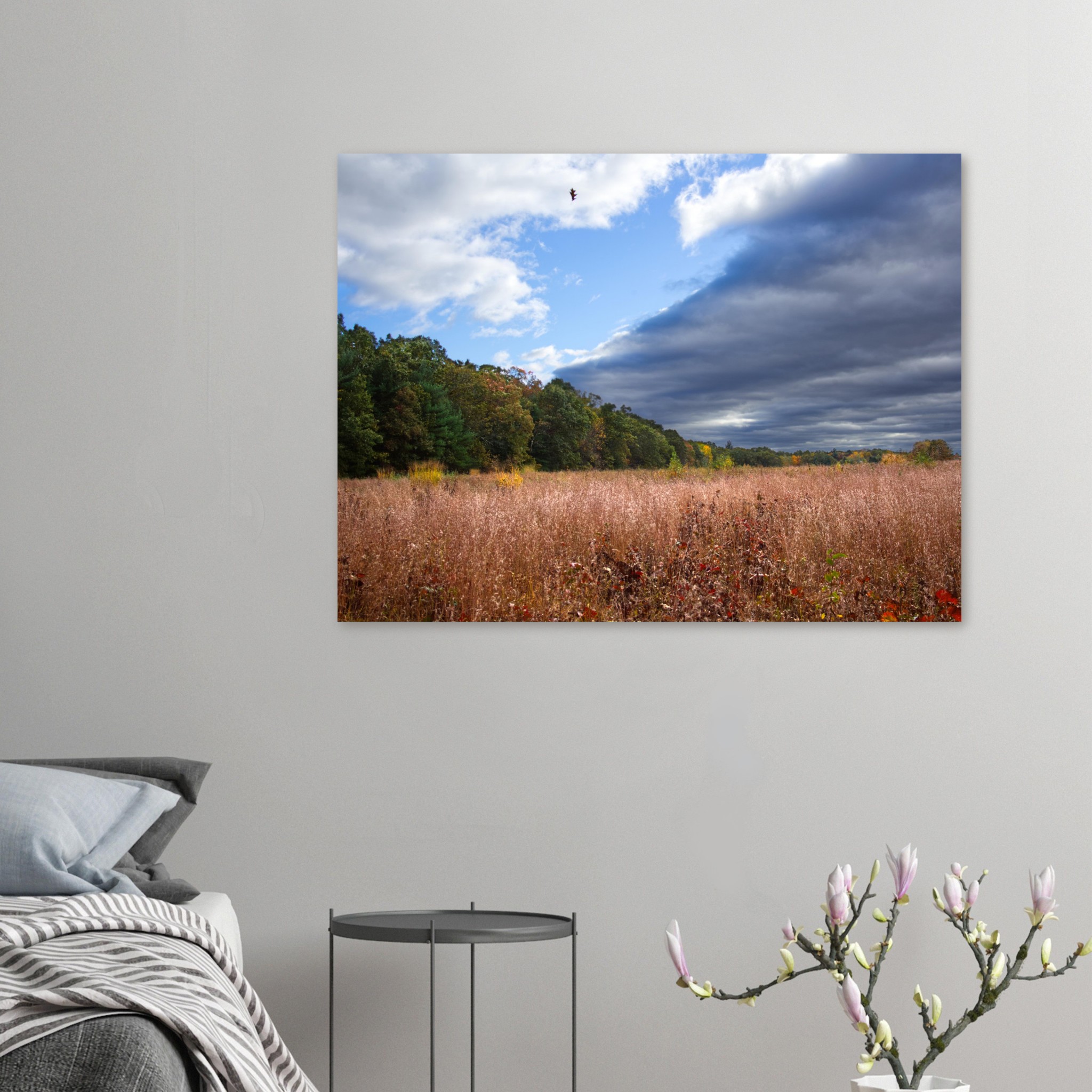 85ccc926-a110-4a4a-8575-3b76f93fdffc