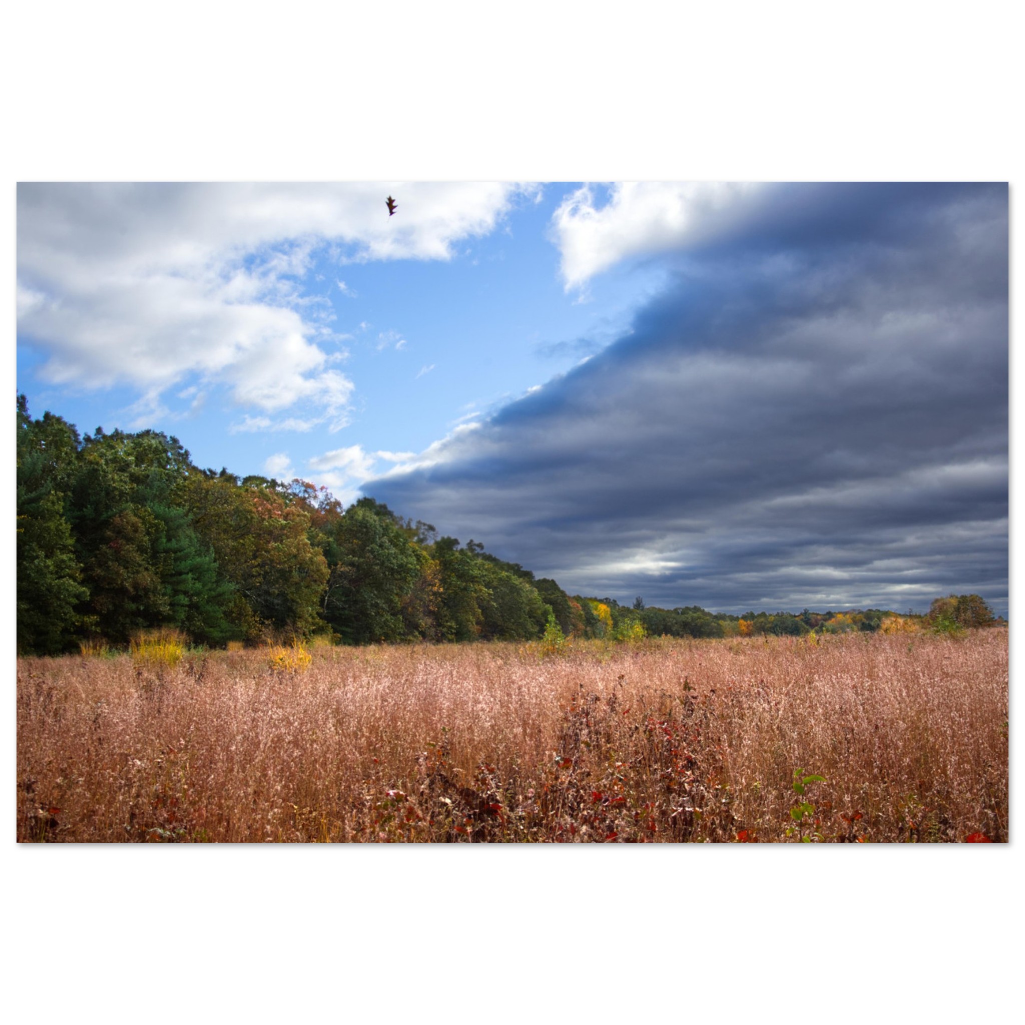 d145444f-0796-4bd1-a3d6-b7c46743e1e7